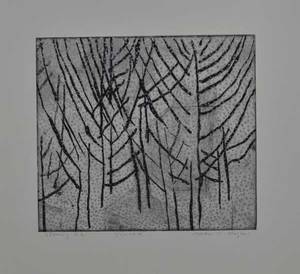 Bilde av Vinter (2011) av Morten Magnus